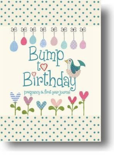 Bump to Birthday, Pregnancy & First Year Journal (Parent & Child)