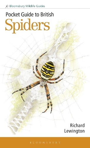 Richard Lewingto Pocket Guide to British Spider (Tascabile) (PRESALE 30/01/2025)