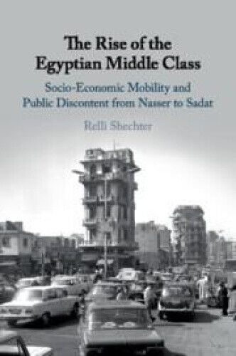 The Rise of the Egyptian Middle Class: Socio-Economic Mobility and Public