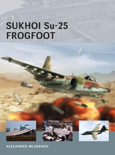 Sukhoi Su-25 Frogfoot (Air Vanguard) by Alexander Mladenov
