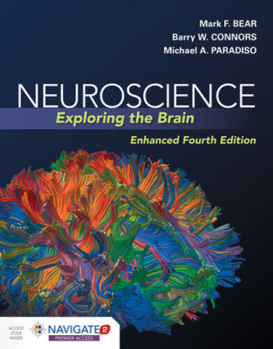 Neuroscience: Exploring The Brain, Enhanced Edition by Mark Bear