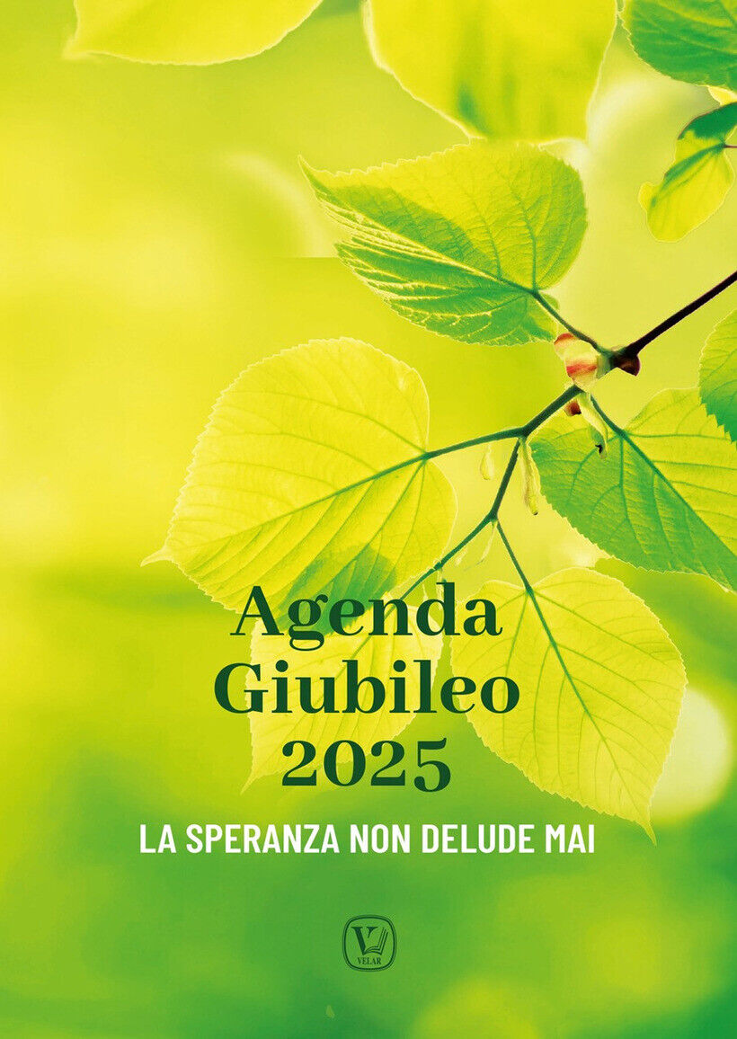 AGENDA GIUBILEO 2025. LA SPERANZA NON DELUDE MAI - INNOCENTE F. (CUR.)