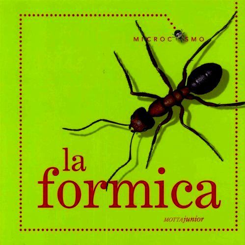 La Formica. Microcosmo di Ting Morris - Ed. MottaJunior