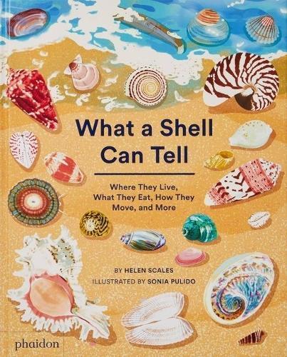 Helen Scales What a Shell Can Tell (Copertina rigida)
