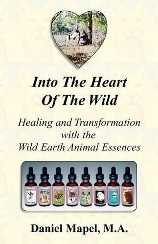 Daniel Mapel Into the Heart of the Wild (Healing and Transformation  (Tascabile)