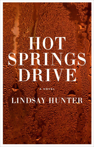 Hot Springs Drive by Lindsay Hunter