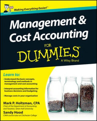 Management and Cost Accounting For Dummies - UK by Holtzman, Mark P.