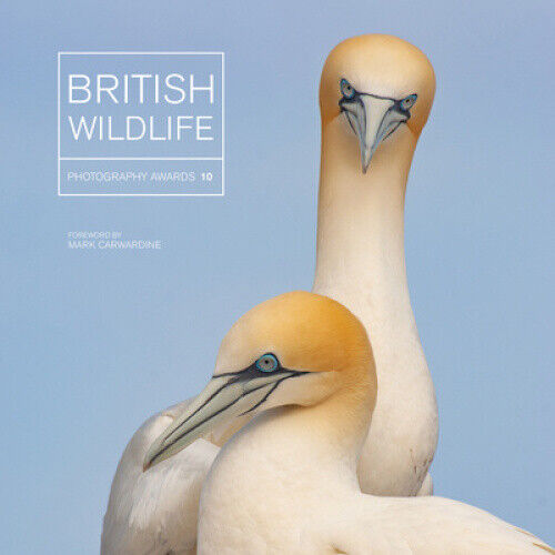 British Wildlife Photography Awards 10 by Gowan, Maggie
