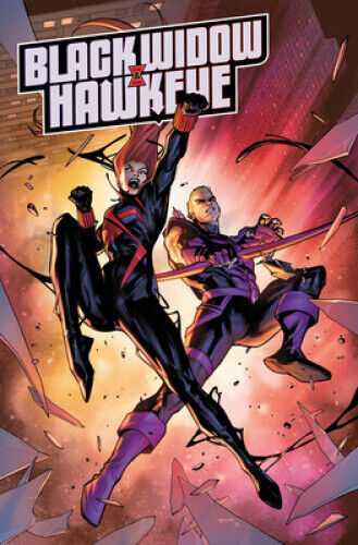Black Widow & Hawkeye: Broken Arrow by Stephanie Phillips