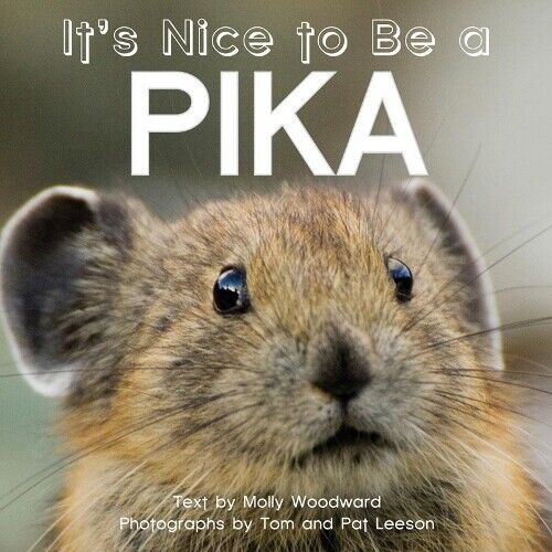 Molly Woodward It's Nice to Be a Pika (Libro di cartone)