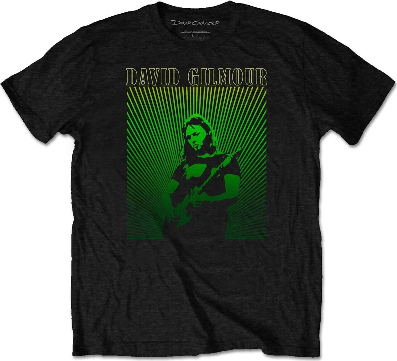David Gilmour: Rays Gradient (T-Shirt Unisex Tg. L) -