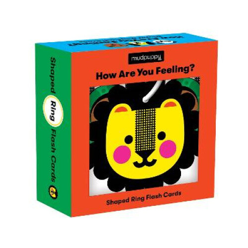 How Are You Feeling? Shaped Ring Flash Cards by Mudpuppy