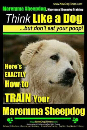 Maremma Sheepdog Maremma Sheepdog Training - Think Like a Dog But Don't Eat
