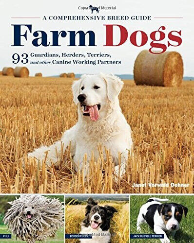 Farm Dogs: A Comprehensive Breed Guide to 93 Guardians, Herders, Terriers, and