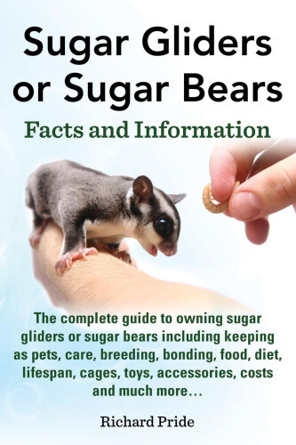 Sugar Gliders or Sugar Bears: Facts and Information on Sugar Gliders as Pets