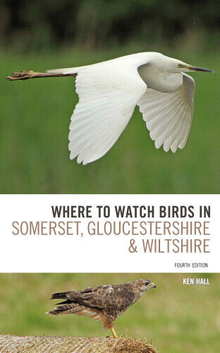 Where To Watch Birds in Somerset, Gloucestershire and Wiltshire (Where to