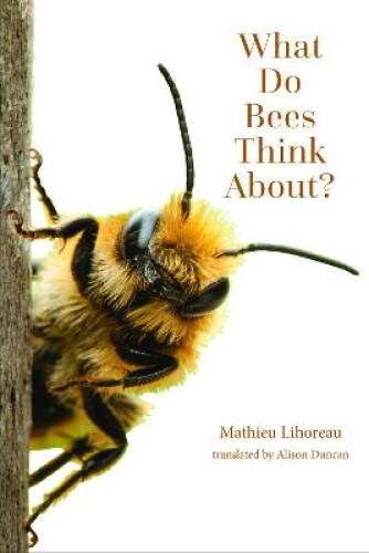 What Do Bees Think About? (The World of Animals) by Mathieu Lihoreau
