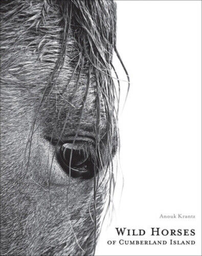 Wild Horses of Cumberland Island (Anouk Masson Krantz) by Anouk Masson Krantz
