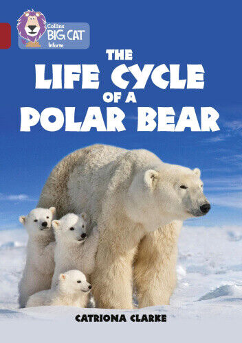The Life Cycle of a Polar Bear: Band 14/Ruby (Collins Big Cat) (Collins Big Cat)