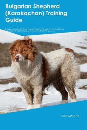 Bulgarian Shepherd (Karakachan) Training Guide Bulgarian Shepherd Training
