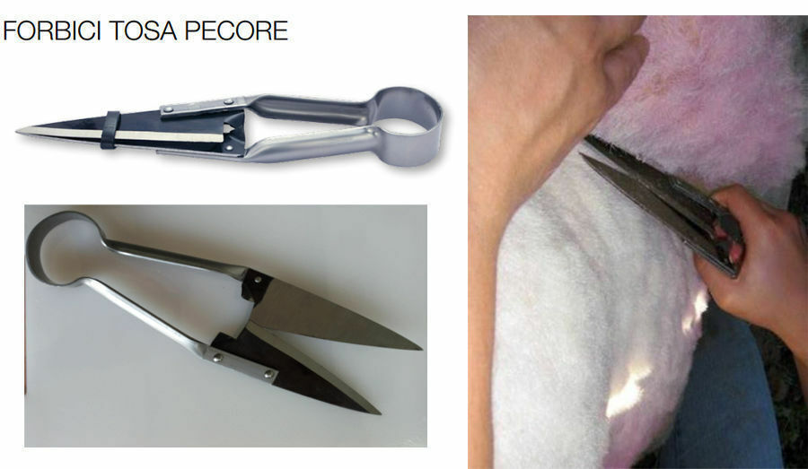 FORBICI PER PECORE PER TOSARE PECORE TOSATURA CAPRE CM 33 IN ACCIAIO TEMPERATO