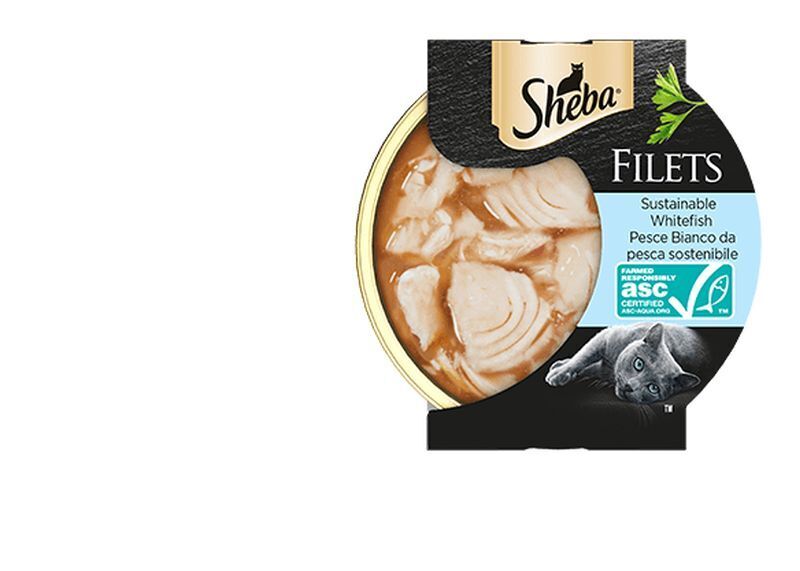 Sheba Gatto Filets Lattina 60gr  Pesce Bianco da pesca sostenibile