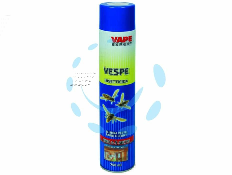 VESPE E CALABRONI INSETTICIDA SPRAY
