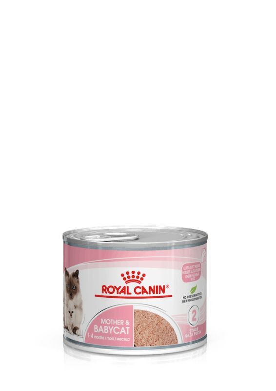 Royal Canin Mother & Babycat Mousse Ultra Soffice 195gr