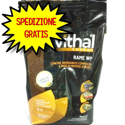 Vithal Expert Concime ossicloruro Di Rame Wp Kg 1
