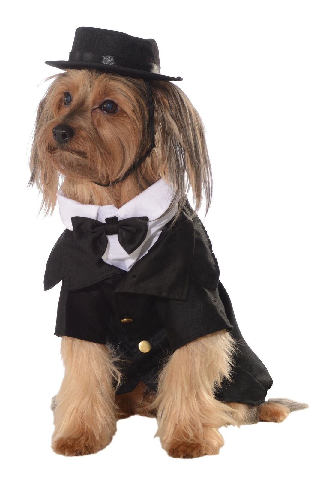 Rubies Official Pet Dog Costume, Dapper Suit, Large