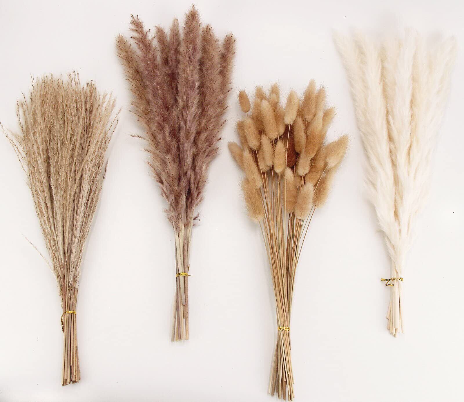 Decorazione di erba di Pampas essiccata 100 pezzi di erba di Pampas con fiori...