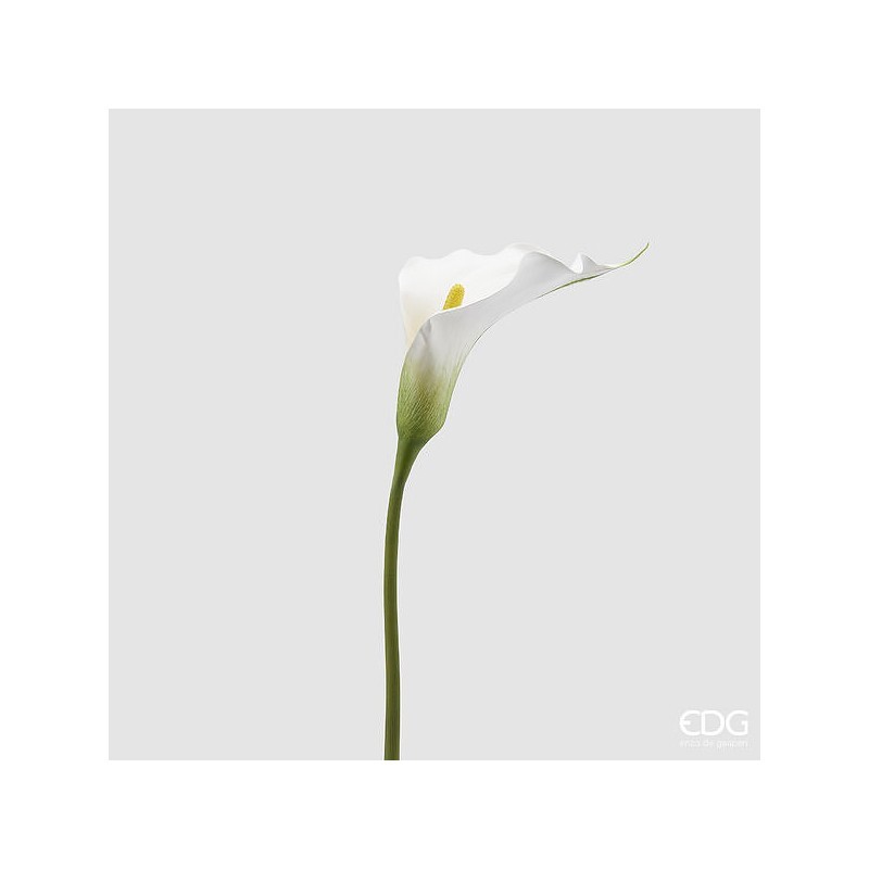 Ramo Calla Bianco H.80 | Enzo De Gasperi
