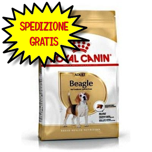 ROYAL CANIN CANE BEAGLE ADULT 3 KG