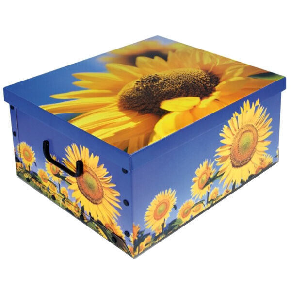 Scatola Componibile Cm 50x40 H 25 Tendenze
