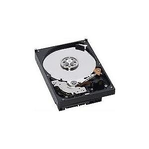 IBM 49Y1866 disco rigido interno 3.5 600 GB SAS (600GB 15K 3.5-inch HDD for DS3