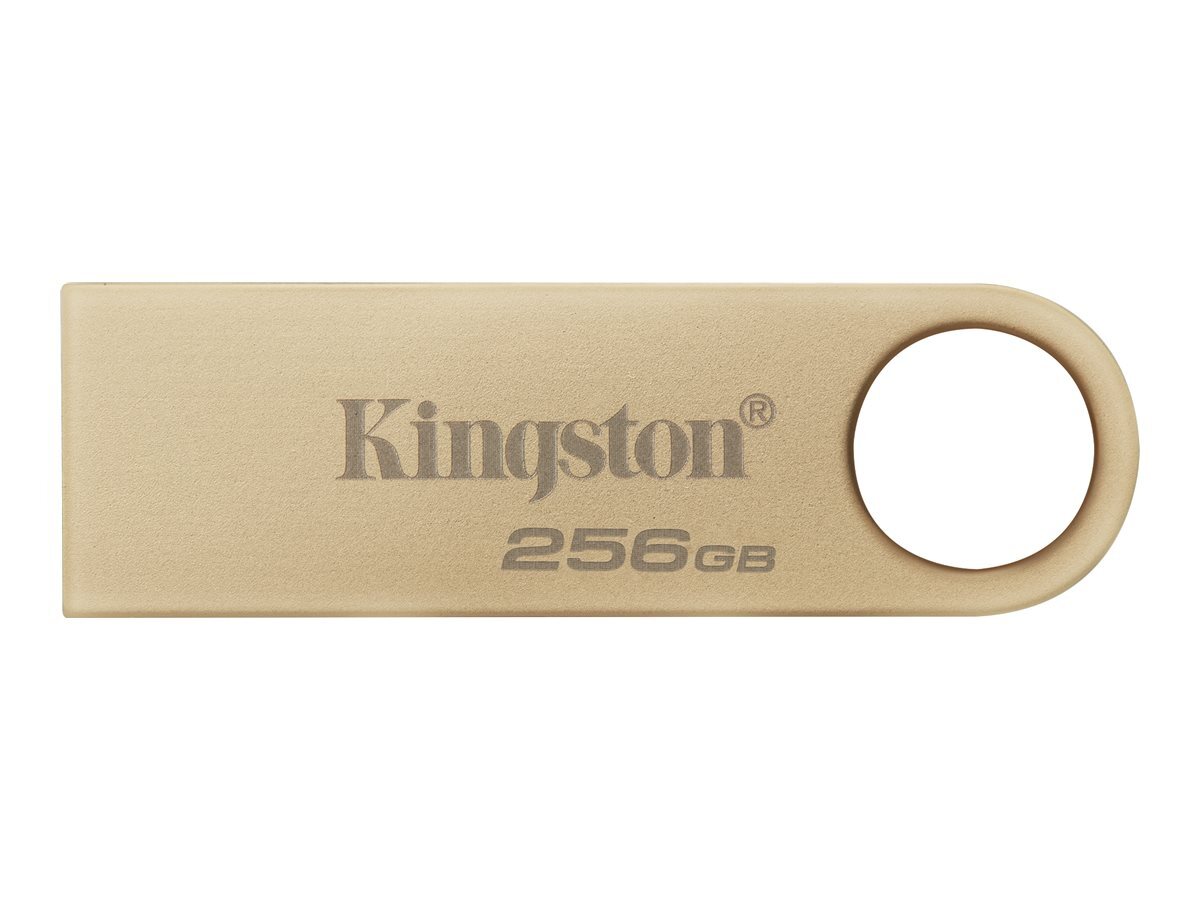 Kingston DataTraveler SE9 G3 USB flash drive 256 GB USB 3.2 DTSE9G3/256GB