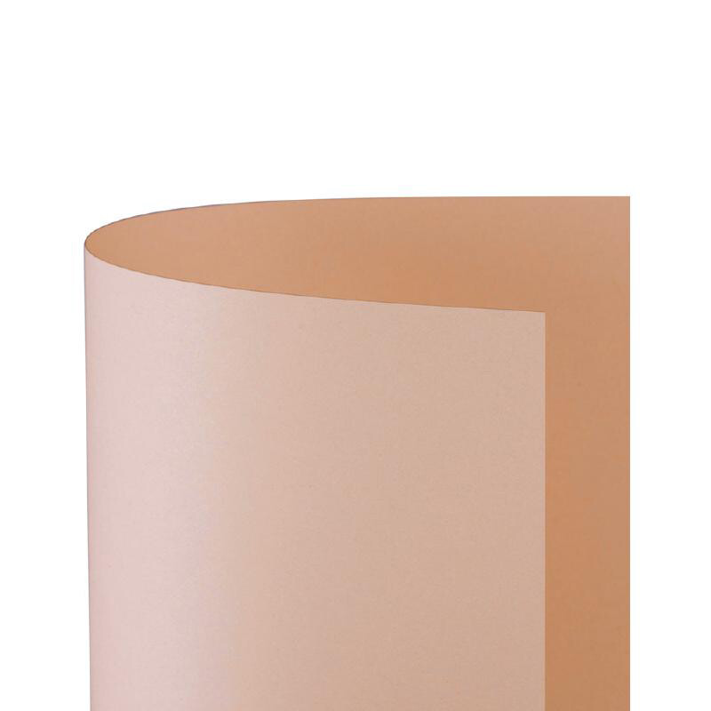 CARTONCINO BRISTOL LISCIO 200GR. 70X100 10 FF SALMONE FAVINI - 17485.35