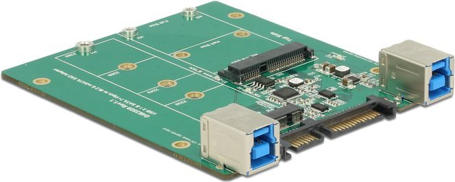 Convertitore Delock Presa SATA / USB 3.1 tipo B  slot M.2 / mSATA (62732)