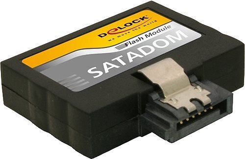 DeLOCK Modulo flash SATA verticale/basso profilo - SSD - 2 GB - interno - SATA 3