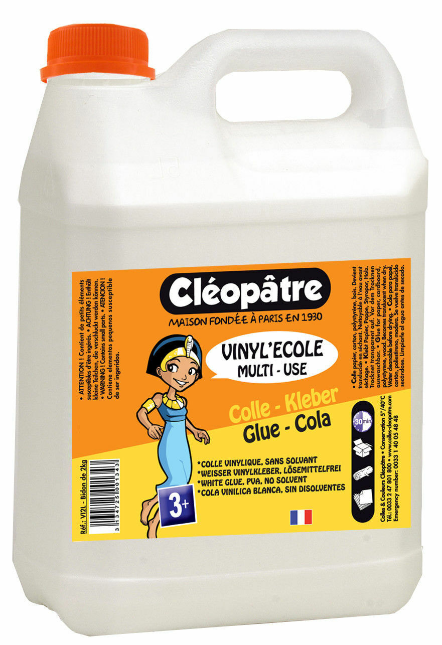 Colla Vinile Bianco Vinile' Scuola (Slime ) 2 KG