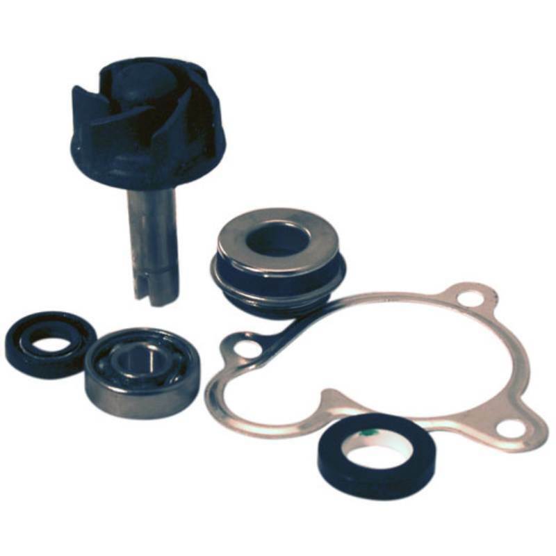 KIT REVISIONE POMPA ACQUA MAJESTY 250 WATER PUMP COOLING CIRCUIT REFROIDISSEMEN