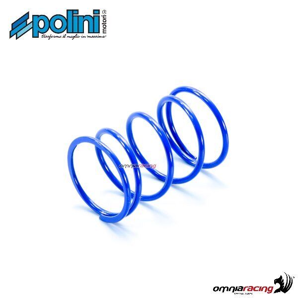 Polini variator contrast spring for Kymco CX50/ Super 2T air cooled