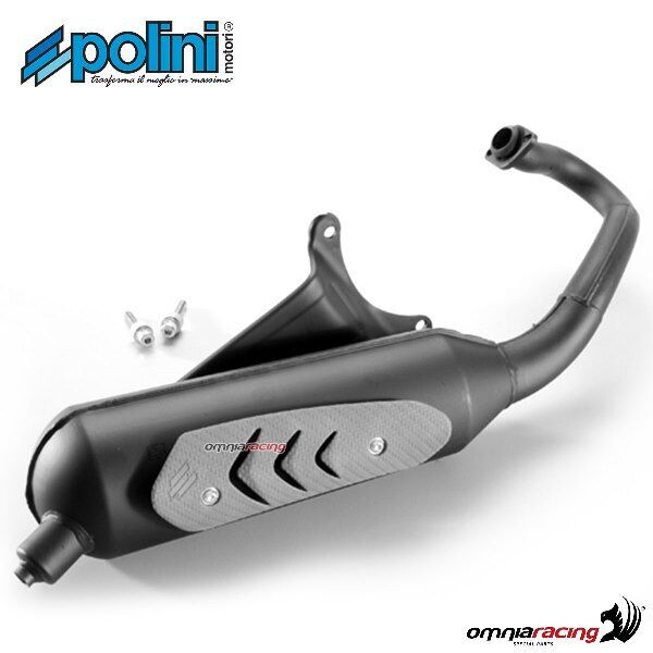 Polini homologated full system muffler for Piaggio Typhoon 50 2001-2010 2T