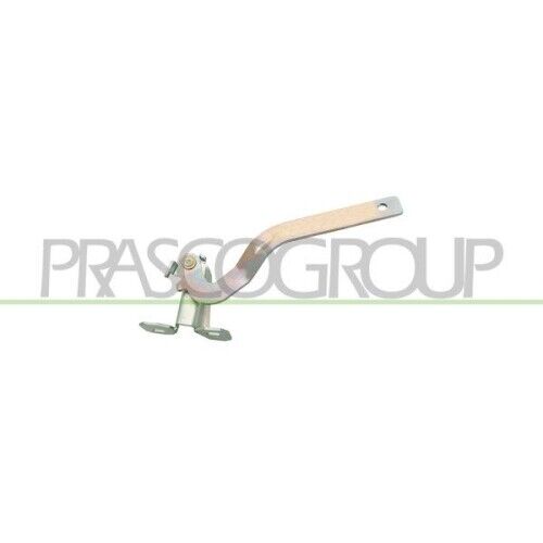 Cerniera Cofano Motore Prasco FT1223704 per Fiat