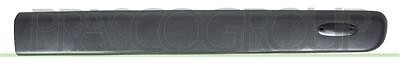 Modanatura Porta Anteriore Destra RENAULT KANGOO 1997/2003 LATO DX 808204020R