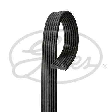 Cinghia trapezoidale multirighe 7DPK1697 GATES per BMW 5 5 Touring