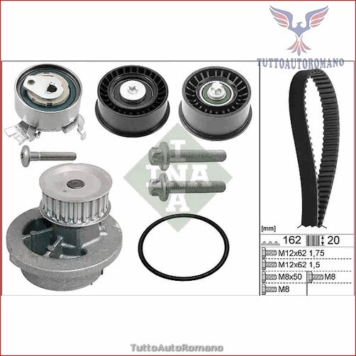 530044132 Kit Distribuzione + Pompa acqua INA