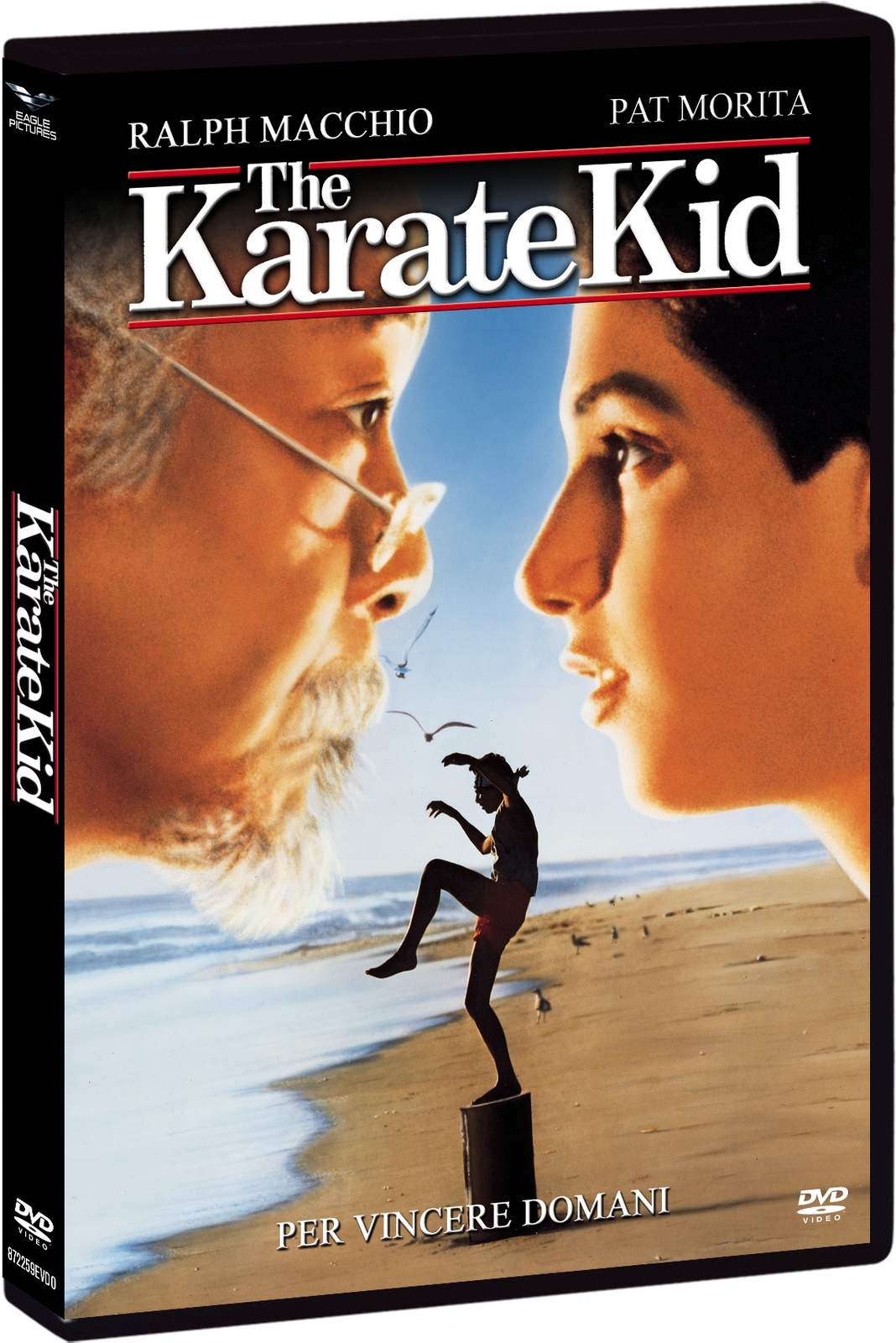 Karate Kid (The) - Per Vincere Domani -