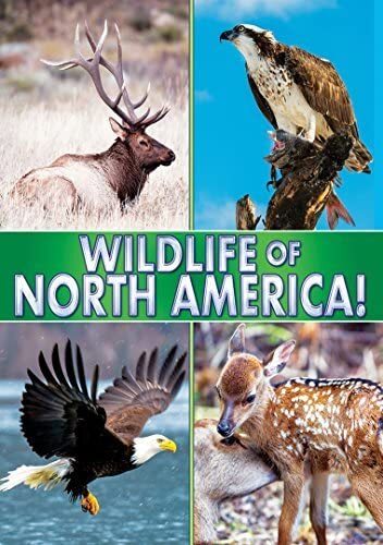 Wildlife Of North America! (DVD) Various