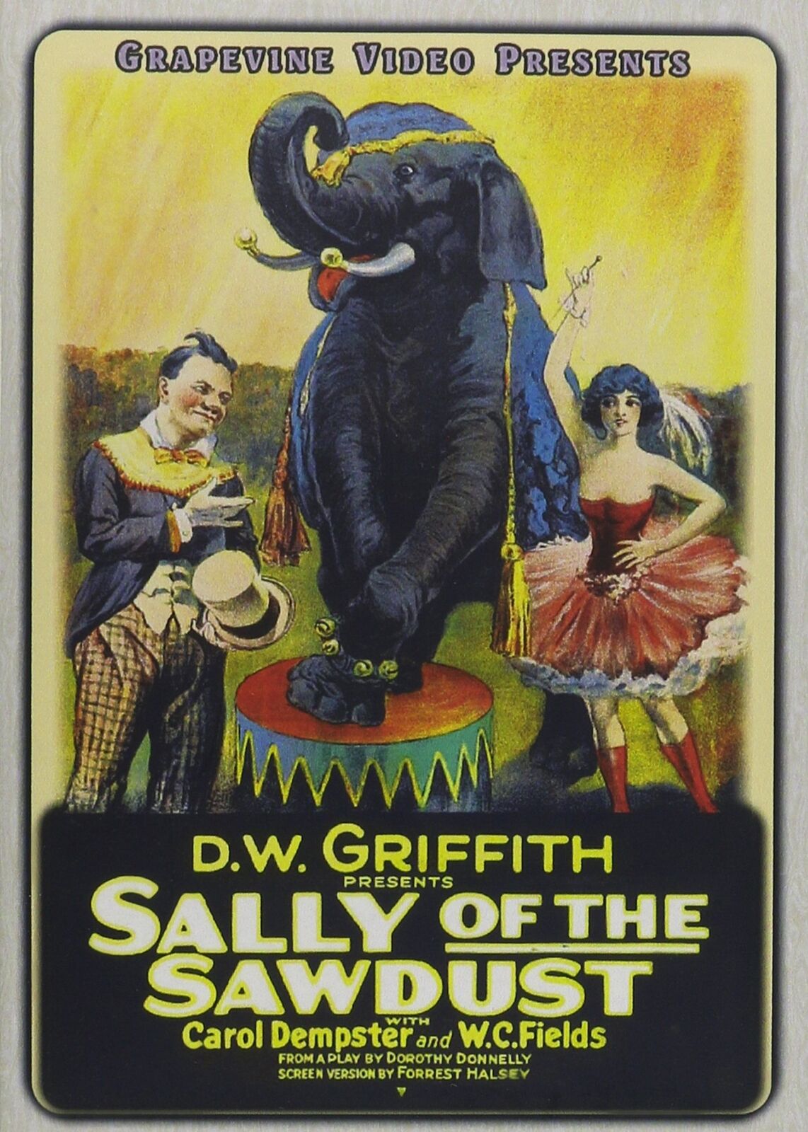 SALLY OF THE SAWDUST (1925) (DVD)